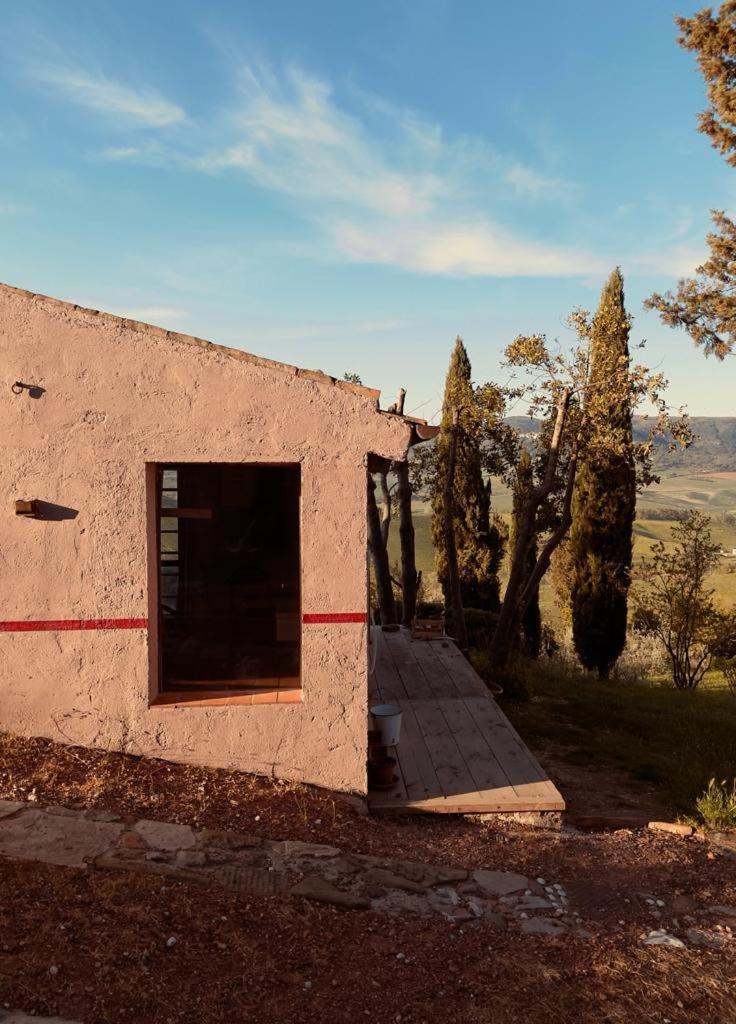Poggio Magginga Διαμέρισμα Terricciola Εξωτερικό φωτογραφία