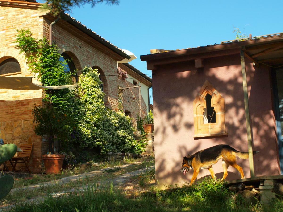 Poggio Magginga Διαμέρισμα Terricciola Εξωτερικό φωτογραφία
